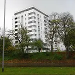 Dbd - Gray Turkus