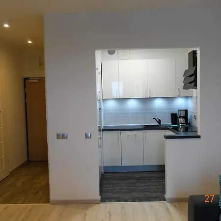 Dbd - Gray Turkus Stettin