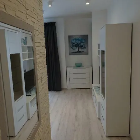 Dbd - Gray Turkus * 슈체친