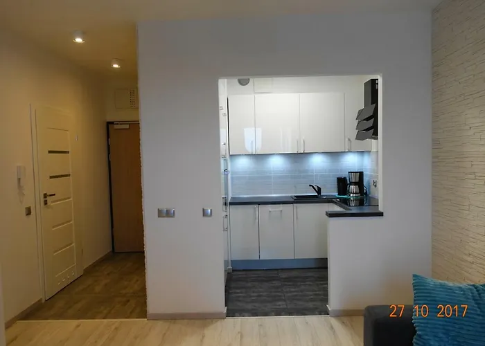 Dbd - Gray Turkus Stettin